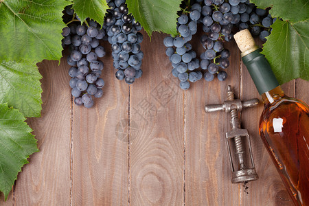 红葡萄葡萄酒瓶和木制桌上的老葡萄腐炉顶视图图片