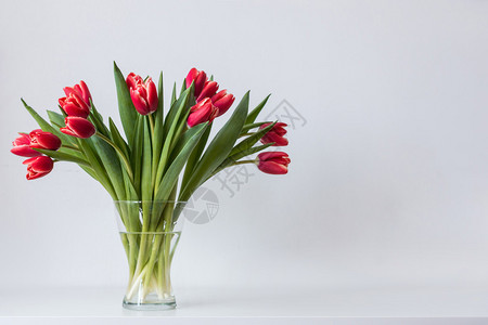 桌上花瓶中的多彩红色郁金香侧图片