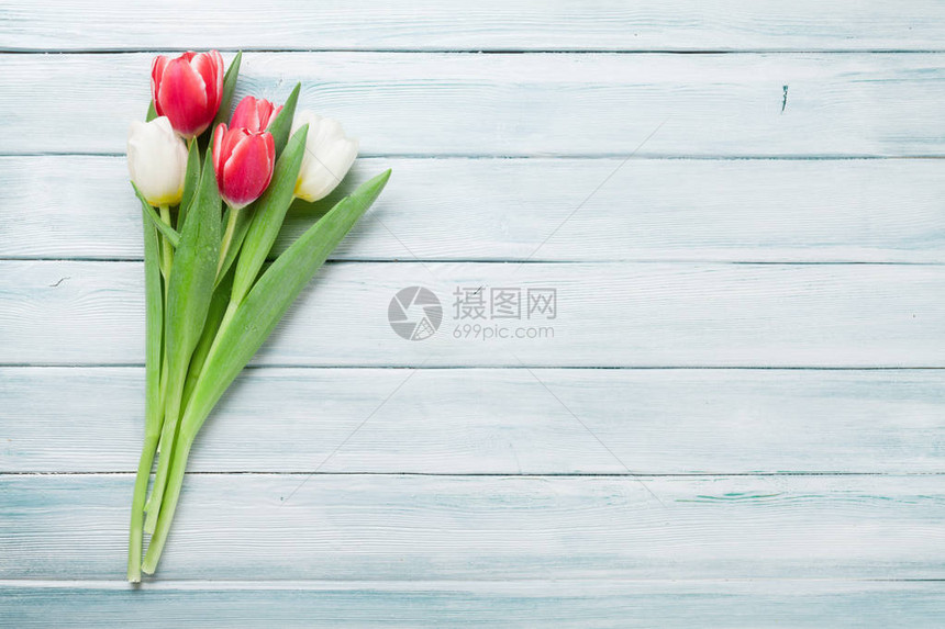 红色和白色的郁金香花束图片