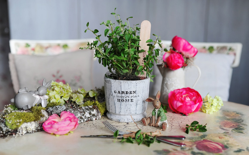 带植物的花盆在装饰过的桌子上花费桌子上有玩具图片