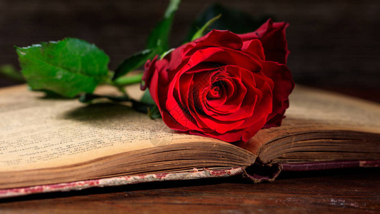 复古书和木制des上的一朵红玫瑰图片