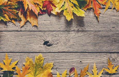 秋季背景的木质叶有生锈的木材背景图片