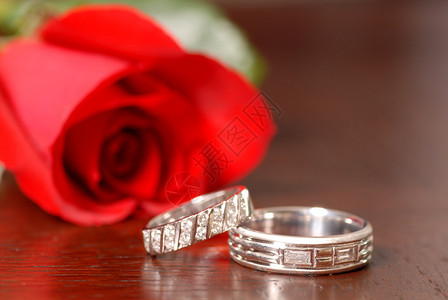 两只结婚戒指和红玫瑰图片