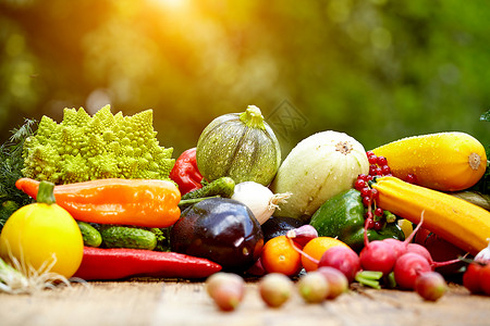 花园林桌上的新鲜有机蔬菜和水果图片