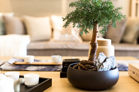 现代木桌上的盆栽植物图片