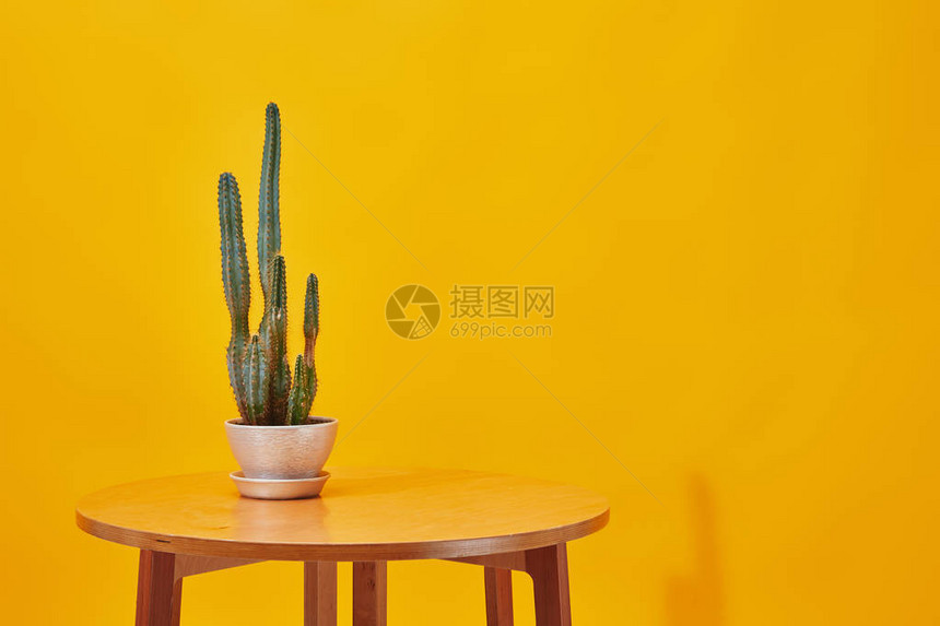 黄色背景的小木桌的花图片