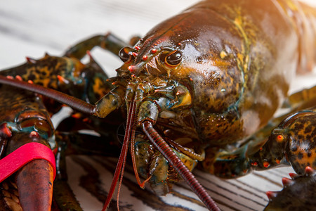 生龙虾头龙虾的嘴和眼睛当地餐厅的海鲜周来自海图片
