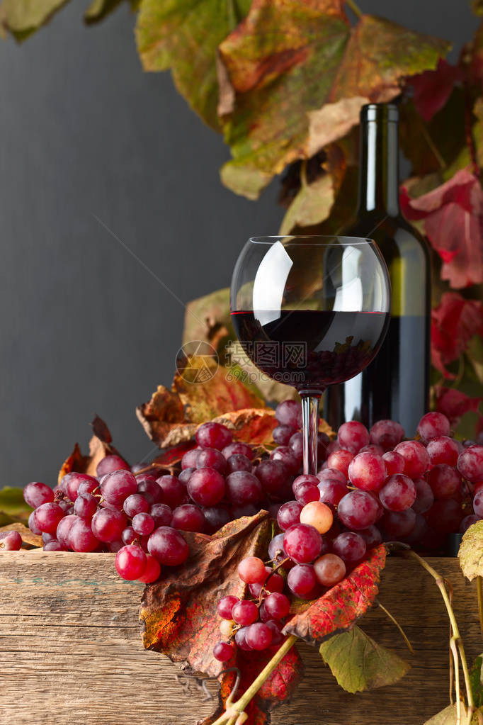 红酒和葡萄有藤叶在图片