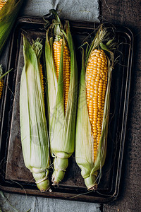 木制桌背面的新鲜玉米极品风格蔬菜健康食图片