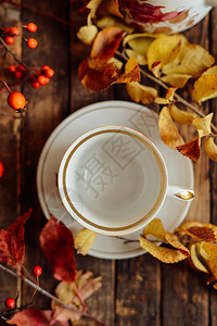 质朴别致的茶会绿茶杯碟茶壶糖碗套装茶具健康凉茶壶图片