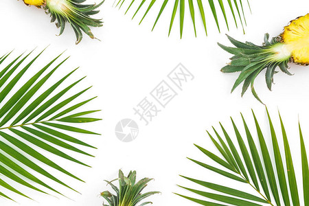 白底的菠萝水果和棕榈叶框架平面顶图片
