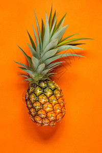 橙色背景中的新鲜菠萝图片