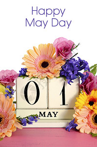 五一宠粉五月节快乐旧的木本日历装饰着春花在粉背景