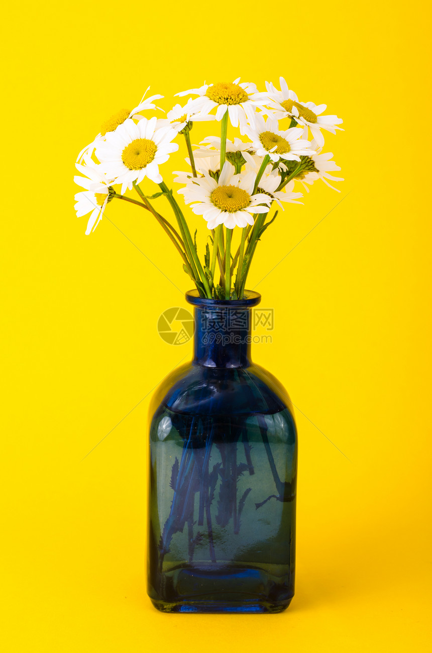 花瓶里的小束白色雏菊工作室照片图片