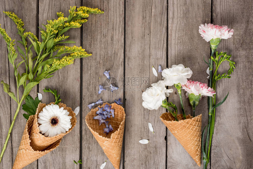 木本底华夫饼锥和花瓣中美丽的花图片