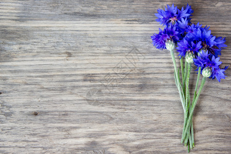 旧木板上老木桌上的花瓣具有复图片
