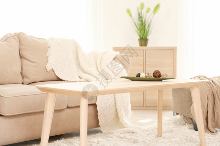 时尚的客厅内部配有舒适的沙发和桌子图片