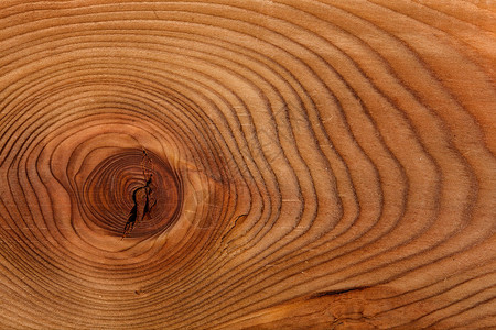 木料的原状和质地木料图片
