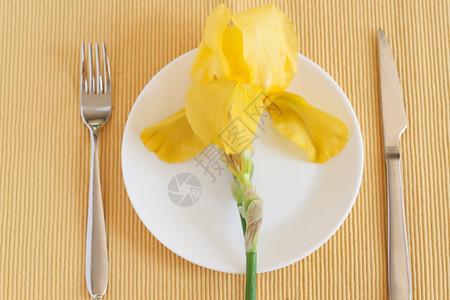 叉子刀子黄色虹膜和一个白盘子图片