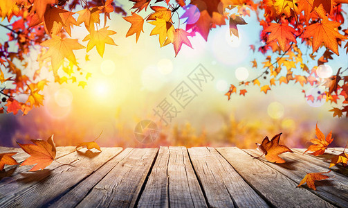 木桌与橙色叶子和模糊的秋天背景背景图片