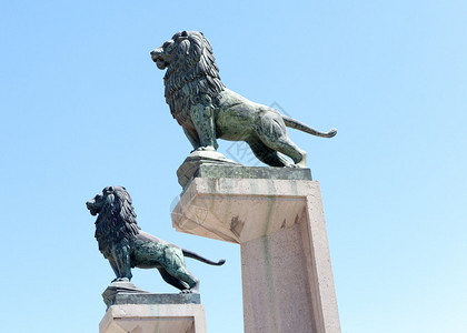 自桥两旁柱子上耸立着四只狮子图片