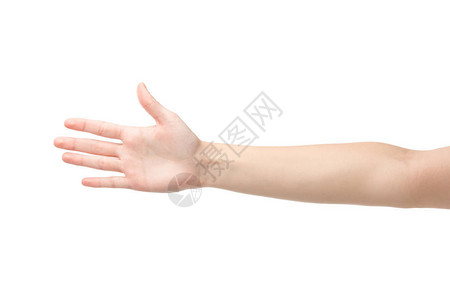 女人的手掌被白色隔开的剪影图片