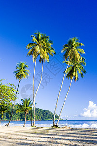 特立尼达岛特立尼达岛和托巴岛图片