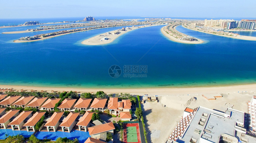 迪拜Jumeirah棕图片