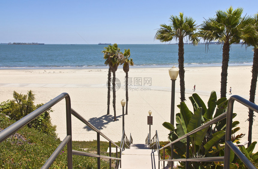 加利福尼亚长滩棕榈沙和海景图片
