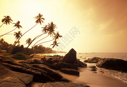 在Asien斯里兰卡西海岸Hikaduw图片