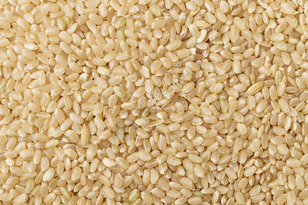 棕米饭背景图片