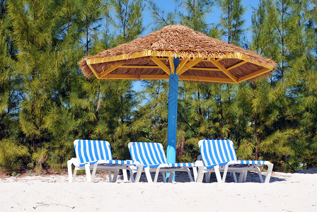 沙滩上的遮阳伞和沙滩椅图片