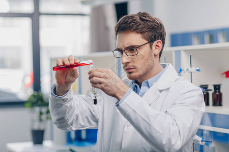 男化学家将试剂用生物实验室中的图片