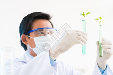 科学家将植物放入图片