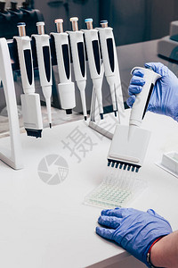 在现代实验室用烧瓶工作台上使用多通道移液器的科学图片