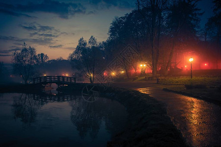 夜间城市公园的反射图片