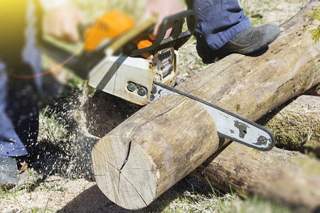 一个手持电锯的人砍木头自然保护图片