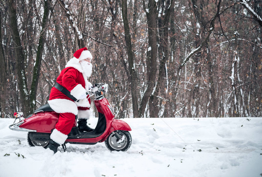 圣诞老人的侧面景色在冬季公园骑图片
