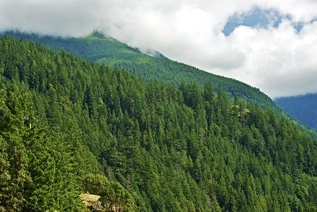 不列颠哥伦比亚山脉夏季景观永无止境的森林和荒野加拿大不列图片