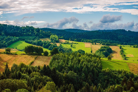 波兰Bieszczady景观夏季的波兰东南部山脉图片