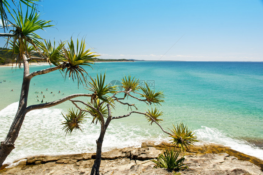 澳大利亚夏日炎热海滩图片