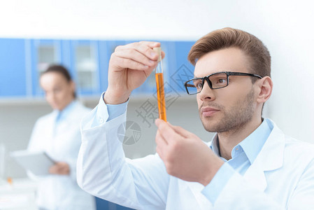 戴眼镜和白外套检查试管的男科学家实验图片