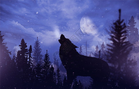 湖北黄石狂野中叫狼山地风景与落雪月亮和咆哮设计图片