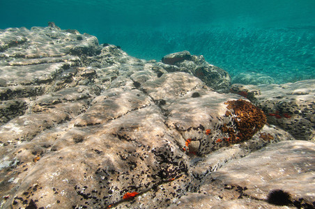 岩石海底浅水环境光图片