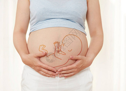 显示她的腹部的孕妇背景图片
