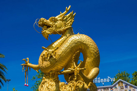 泰国普吉岛的金龙图片