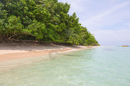 巴拿马BocasdelToro群岛上被遗弃的萨图片