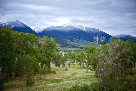 Montana地貌景观图片