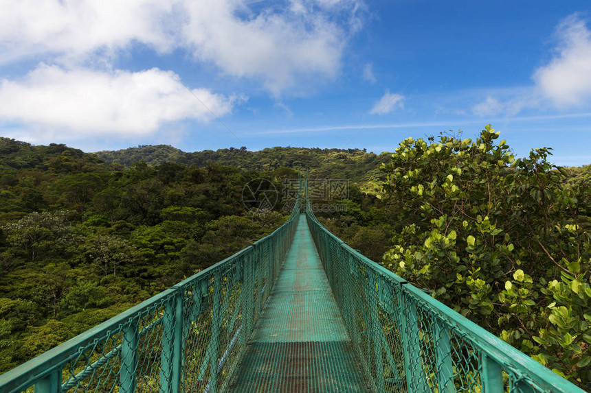 中美洲哥斯达黎加蒙特维多树冠上的吊桥图片