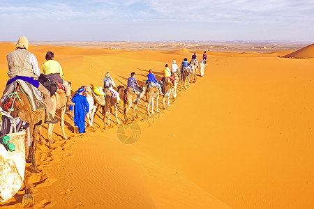 穿越摩洛哥撒哈拉沙漠丘的骆驼大篷图片